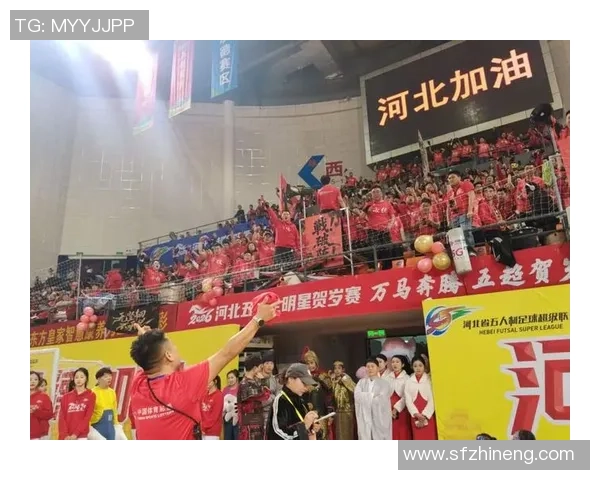 足球洛阳激情四溢球迷齐聚共庆足球盛宴展现城市风采与团结精神