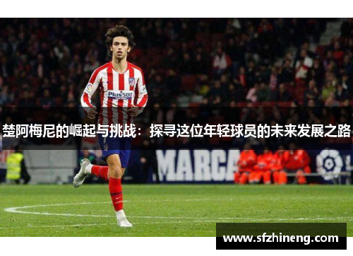 楚阿梅尼的崛起与挑战：探寻这位年轻球员的未来发展之路