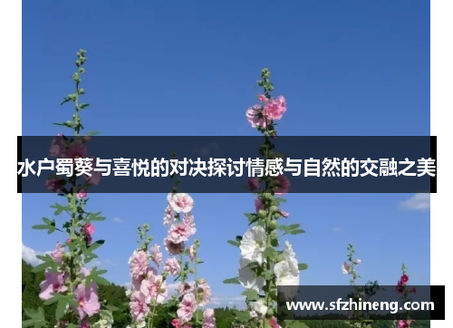 水户蜀葵与喜悦的对决探讨情感与自然的交融之美