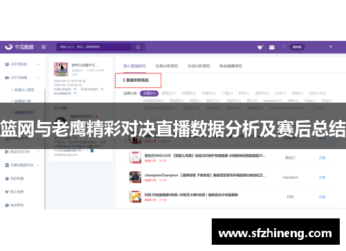 篮网与老鹰精彩对决直播数据分析及赛后总结